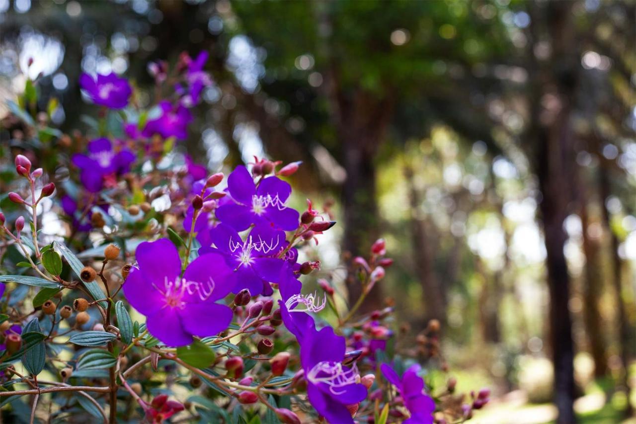 Crystal Homestay By Veo - Part Of Stayvista Madikeri Buitenkant foto